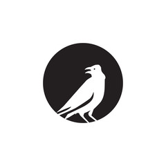 Bird logo design vector template