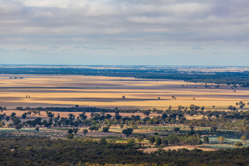 Agricultural fields and trees in Australia
