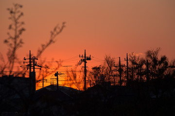 chiba, japan, 04/03/2019 , view of Aobanomori park. Sunset.