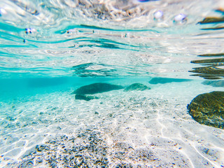 tropical blue ocean underwater background - luxury nature pattern