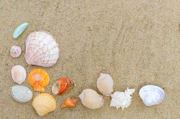 Top view of different sea shells on sand with copy space for text. Time to vacation