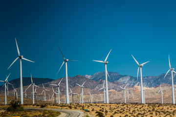 wind turbines in the field