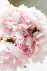 Peonies Bouquet- pink white