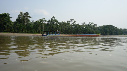Yasuni Amazonia Ecuador 