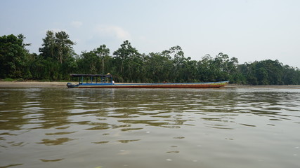 Yasuni Amazonia Ecuador 