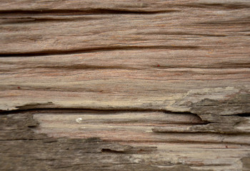 Obraz premium wood texture, background old panels