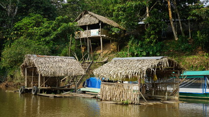 Fototapeta na wymiar Yasuni Amazonia Ecuador 
