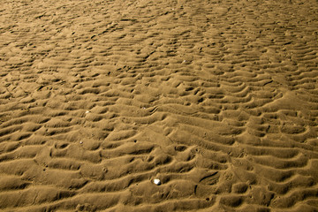 Sand Beneath the Ocean