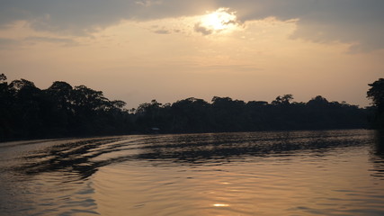 Yasuni Amazonia Ecuador 