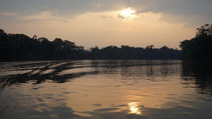 Yasuni Amazonia Ecuador 