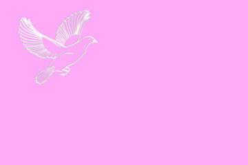 pink colorf dove peace freedom related concept background