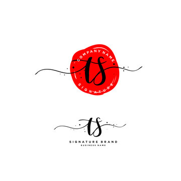T S TS Initial letter handwriting and  signature logo.