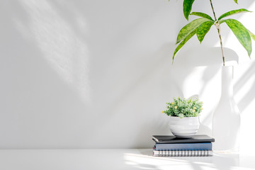 Mockup stack of book and houseplant on white wooden table, copy space for product display or...