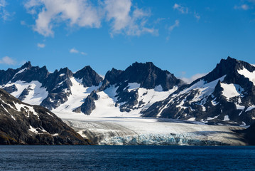 Fototapeta na wymiar Large glacier surrounded by snowy mountains feeding into the sea at Drygalski Fjord, South Georgia