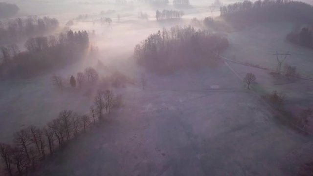 Aerial footage of a forests and trees of a landscape park in Lower Silesia, Poland. Straight forward motion with slight right turn, shot during sunrise with visible early-morning sun beams and fog.