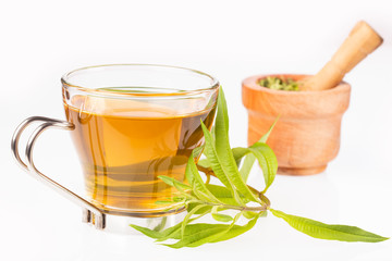 Tea with lemon verbena - Aloysia citrodora. White background