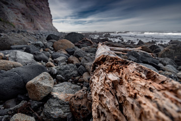 A piece of driftwood laying on a rocky beach shoreline