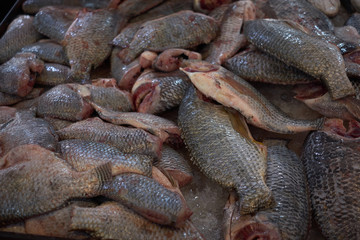 Variety of raw fresh fish. fillet on crushed ice. Fish market concept. Fresh catch of different fish on fish market