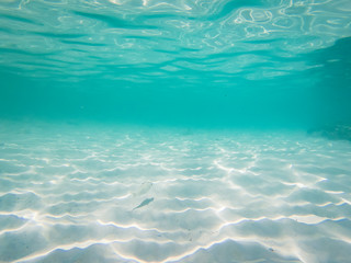 tropical blue ocean underwater background - luxury nature pattern