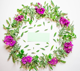 A wreath of violets on a white background. Round frame of purple flowers and fresh grass. Summer flowers.  Flat lay, top view.