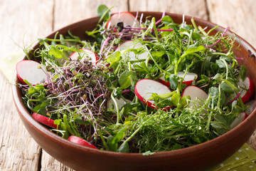 Dietary fresh radish salad with microgreen mix close-up in a bowl. horizontal