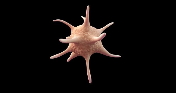 3D animation of blood platelet