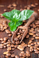 Roasted coffee beans with green leaves