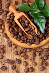 Roasted coffee beans with green leaves