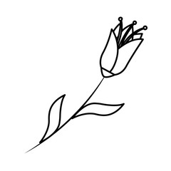 beautiful flower with leafs decorative icon