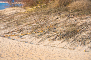 Dune fortification by the sea.