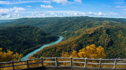 Fototapeta premium see beautiful scenery from the top of a green hill