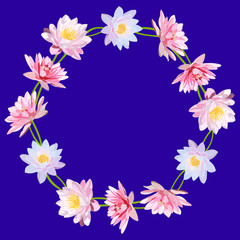 wreath of large white and pink water lilies on blue background