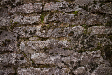Obraz premium wall of old stone blocks covered with moss