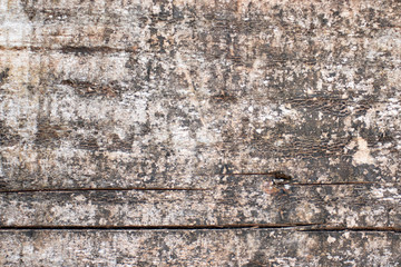 textura madeira parede de madeira tábuas