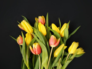 Bright fresh yellow and orange spring flowers tulips on a black background isolated.