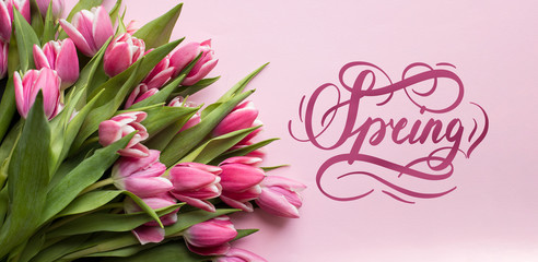 Spring hand lettering with Bright fresh pink spring flowers tulips on a pink background.
