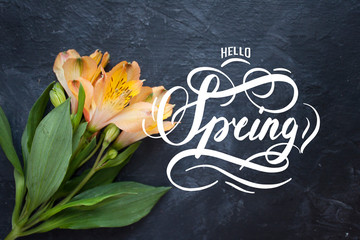 Hello Spring hand lettering inscription with amazing beautiful blue flowers on old wooden background.