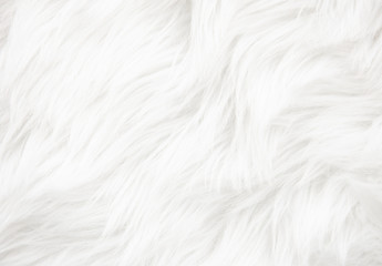 White fur texture