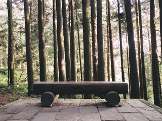Bench in forest