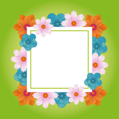 Obraz premium Floral frame blank card
