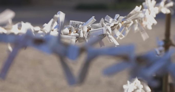 Oracles at Igusa shrine in Tokyo