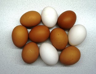 chicken eggs white and brown large 10 pieces