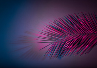 Hanging palm leaves at purple neon colors radial gradient background. Creative tropical layout