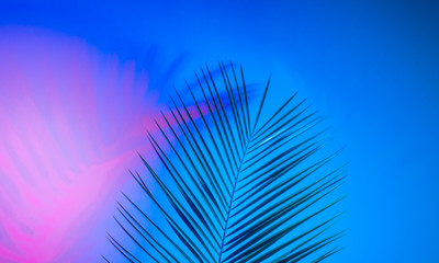 Obraz premium Tropical leaves in vibrant bold gradient holographic neon colors