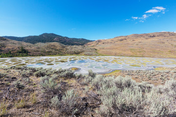 Spotted lake