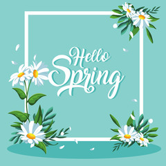 hello spring card with beautiful flowers in frame