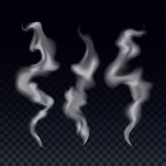 Fototapeta premium Realistic Steam Smoke Waves Set. Vector Template Transparent Texture of Cigarette Smoke. Hot Steam Illustration Concept