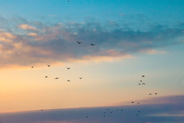 evening sky
