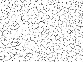 The cracks texture white and black. Vector background.Cracked earth. Structure of cracking. Cracks in dry surface soil texture. shards