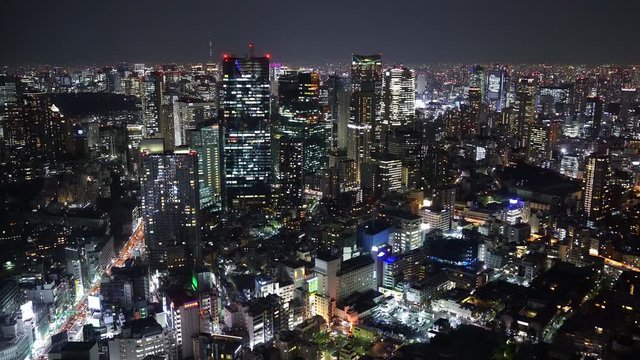 Aerial view of Tokyo city at night, Japan